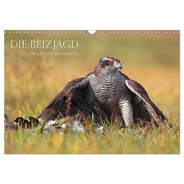 Die Beizjagd (Wandkalender 2024 DIN A3 quer), CALVENDO Monatskalender, Wolfgang Brandmeier