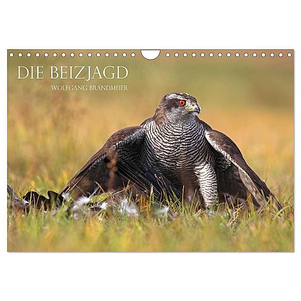 Die Beizjagd (Wandkalender 2024 DIN A4 quer), CALVENDO Monatskalender, Wolfgang Brandmeier