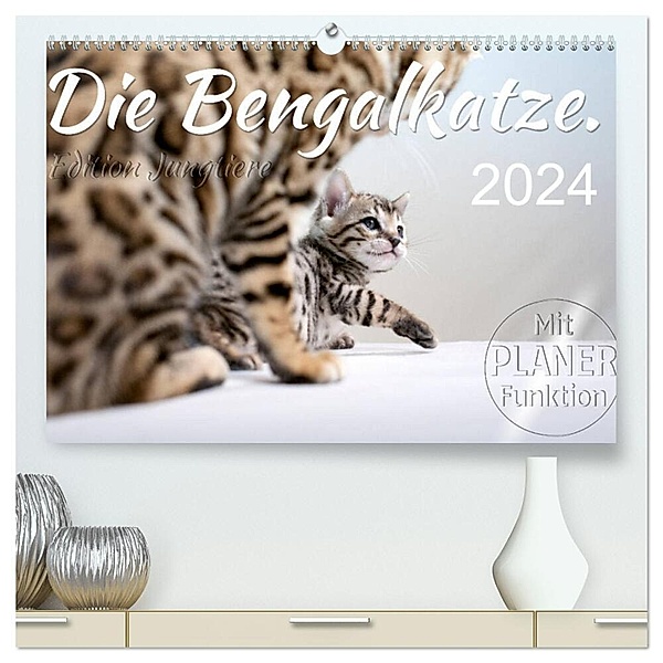 Die Bengalkatze. Edition Jungtiere (hochwertiger Premium Wandkalender 2024 DIN A2 quer), Kunstdruck in Hochglanz, Sylvio Banker