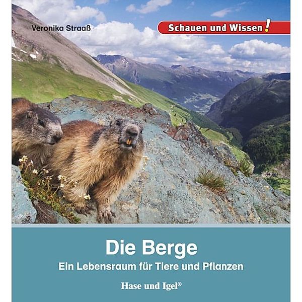 Die Berge, Veronika Straaß