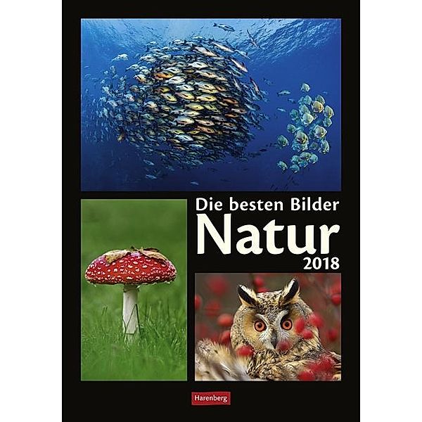 Die besten Bilder Natur 2018, Judith Merkelt