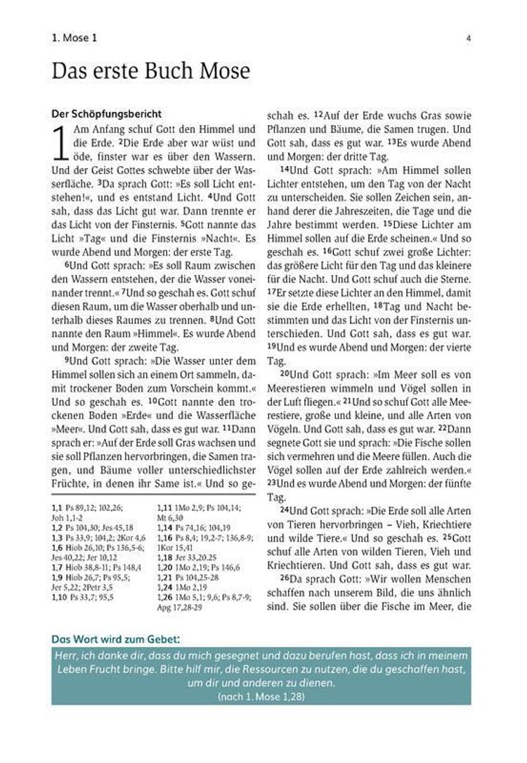 Die Bibel, NLB. Neues Leben Bibel Buch versandkostenfrei bei Weltbild.de  bestellen