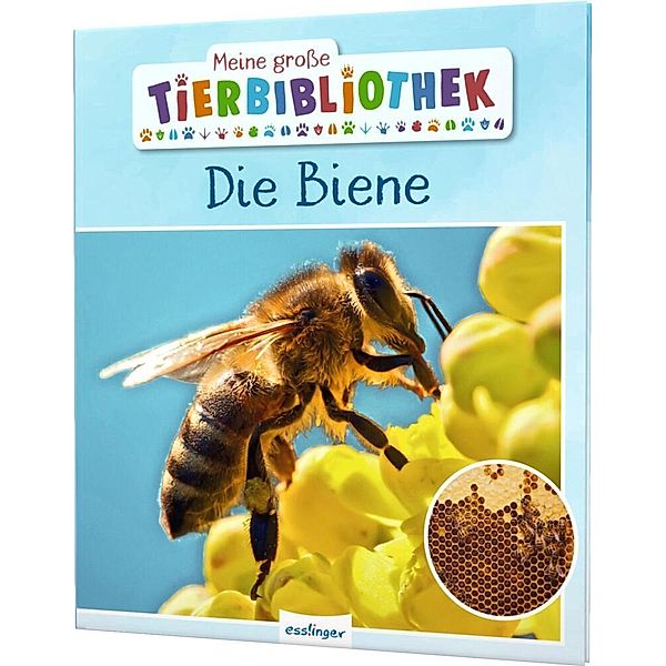 Die Biene / Meine grosse Tierbibliothek Bd.10, Paul Starosta