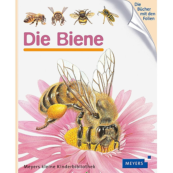 Die Biene / Meyers Kinderbibliothek Bd.18