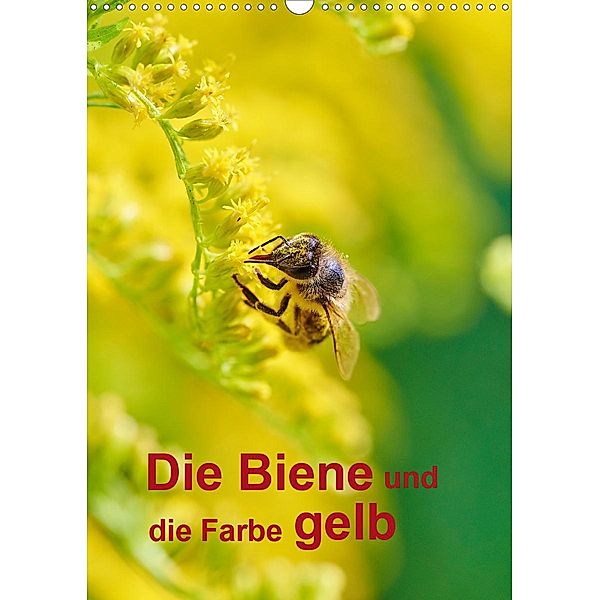 Die Biene und die Farbe gelb (Wandkalender 2021 DIN A3 hoch), Mark Bangert