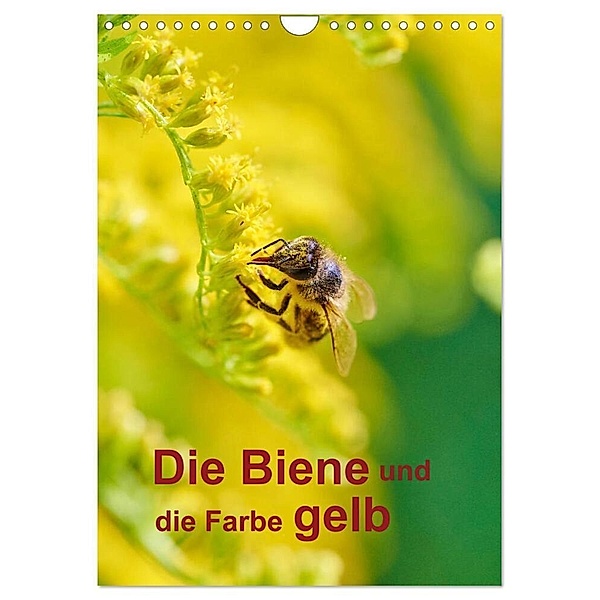 Die Biene und die Farbe gelb (Wandkalender 2024 DIN A4 hoch), CALVENDO Monatskalender, Mark Bangert