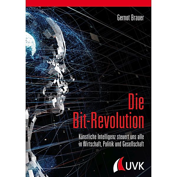 Die Bit-Revolution, Gernot Brauer