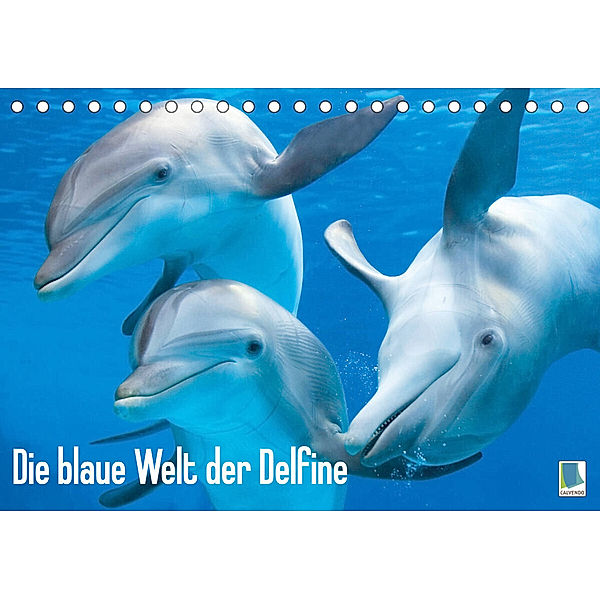 Die blaue Welt der Delfine (Tischkalender 2023 DIN A5 quer), Calvendo