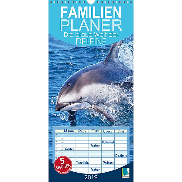 Die blaue Welt der Delfine (Wandkalender 2019 , 21 cm x 45 cm, hoch)