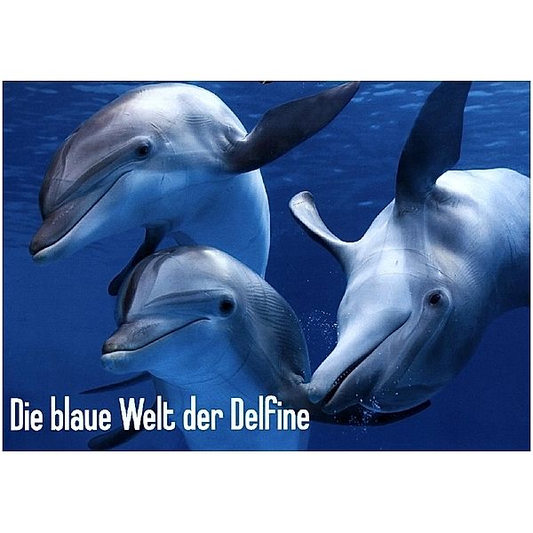 Die blaue Welt der Delfine (Wandkalender 2023 DIN A3 quer), Calvendo