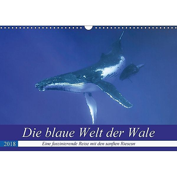 Die blaue Welt der Wale (Wandkalender 2018 DIN A3 quer) Dieser erfolgreiche Kalender wurde dieses Jahr mit gleichen Bild, Travelpixx.com