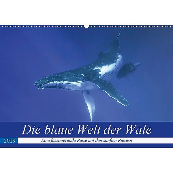 Die blaue Welt der Wale (Wandkalender 2019 DIN A2 quer), Travelpixx. com