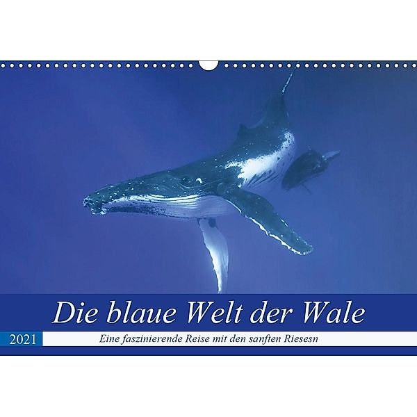 Die blaue Welt der Wale (Wandkalender 2021 DIN A3 quer), Travelpixx.com