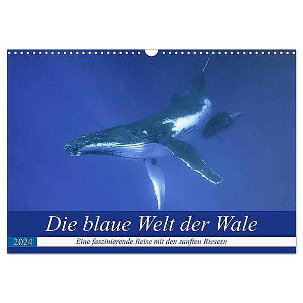 Die blaue Welt der Wale (Wandkalender 2024 DIN A3 quer), CALVENDO Monatskalender, Travelpixx.com