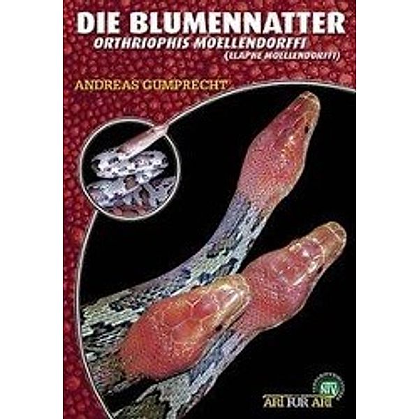 Die Blumennatter, Andreas Gumprecht