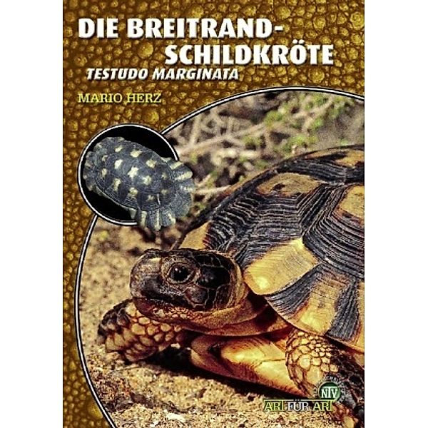 Die Breitrandschildkröte, Mario Herz