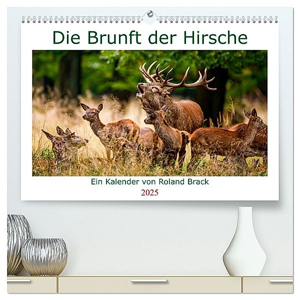 Die Brunft der Hirsche (hochwertiger Premium Wandkalender 2025 DIN A2 quer), Kunstdruck in Hochglanz, Calvendo, Roland Brack