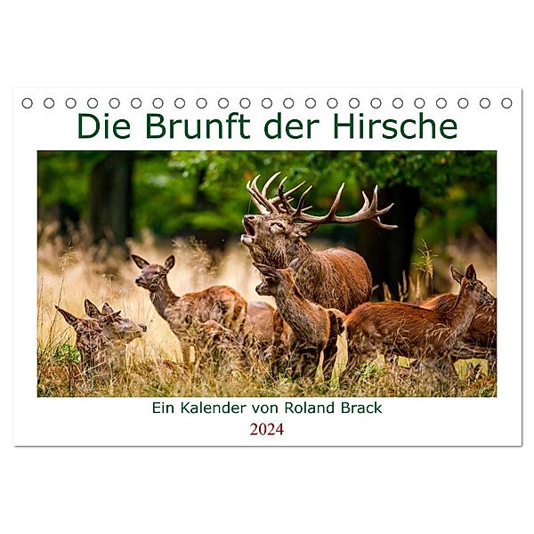 Die Brunft der Hirsche (Tischkalender 2024 DIN A5 quer), CALVENDO Monatskalender, Roland Brack