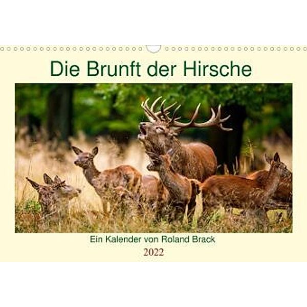 Die Brunft der Hirsche (Wandkalender 2022 DIN A3 quer), Roland Brack