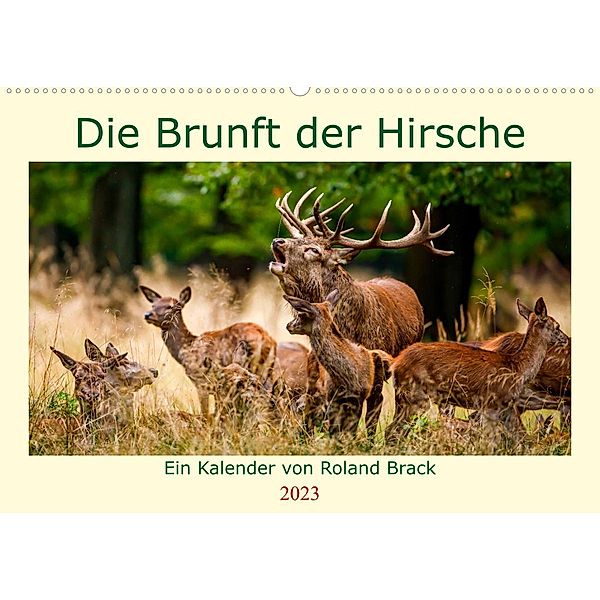 Die Brunft der Hirsche (Wandkalender 2023 DIN A2 quer), Roland Brack
