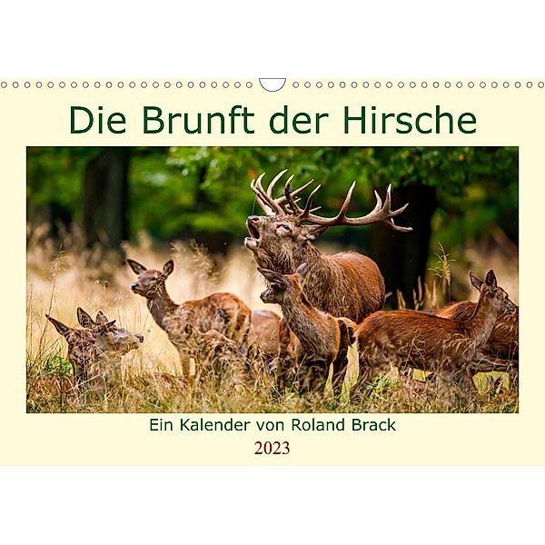 Die Brunft der Hirsche (Wandkalender 2023 DIN A3 quer), Roland Brack