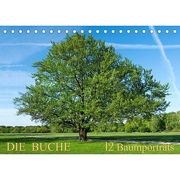 Die Buche: 12 Baumporträts (Tischkalender 2023 DIN A5 quer), Tatjana Balzer