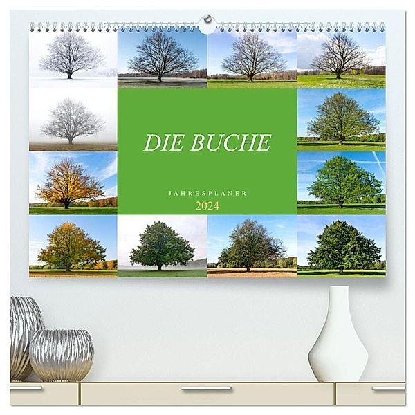 Die Buche: Jahresplaner 2024 (hochwertiger Premium Wandkalender 2024 DIN A2 quer), Kunstdruck in Hochglanz, Tatjana Balzer