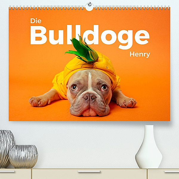 Die Bulldoge Henry (Premium, hochwertiger DIN A2 Wandkalender 2024, Kunstdruck in Hochglanz), M. Scott
