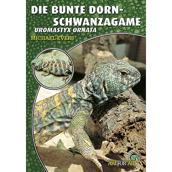 Die Bunte Dornschwanzagame / Art für Art, Michael Evers