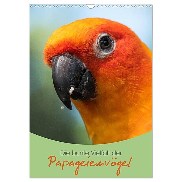 Die bunte Vielfalt der Papageienvögel (Wandkalender 2024 DIN A3 hoch), CALVENDO Monatskalender, Christina Williger