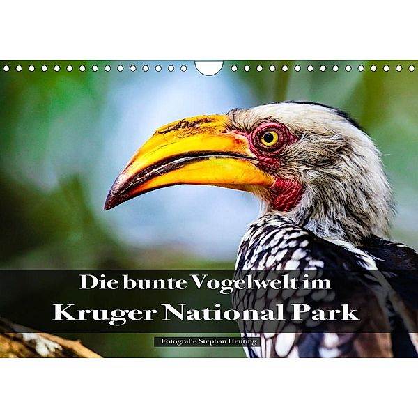 Die bunte Vogelwelt im Kruger National Park (Wandkalender 2023 DIN A4 quer), Stephan Henting