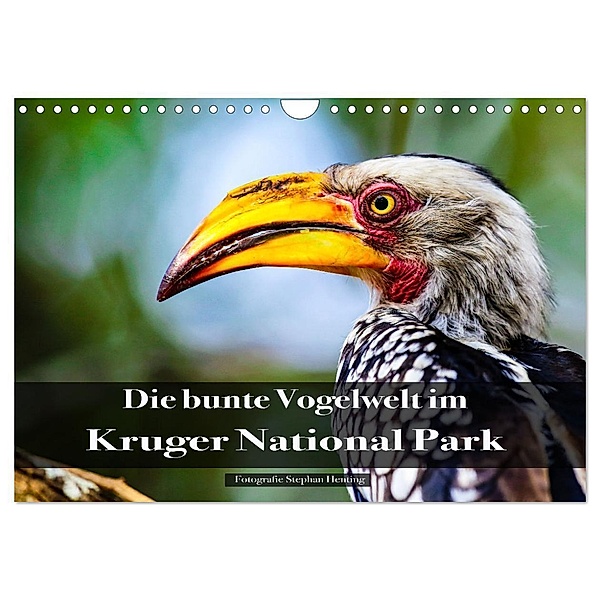 Die bunte Vogelwelt im Kruger National Park (Wandkalender 2024 DIN A4 quer), CALVENDO Monatskalender, Stephan Henting