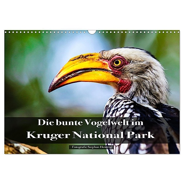 Die bunte Vogelwelt im Kruger National Park (Wandkalender 2024 DIN A3 quer), CALVENDO Monatskalender, Stephan Henting