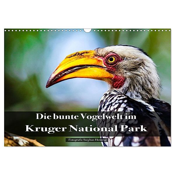 Die bunte Vogelwelt im Kruger National Park (Wandkalender 2025 DIN A3 quer), CALVENDO Monatskalender, Calvendo, Stephan Henting