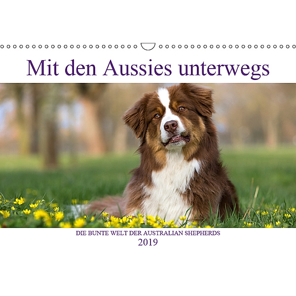 DIE BUNTE WELT DER AUSTRALIAN SHEPHERDS (Wandkalender 2019 DIN A3 quer), Annett Mirsberger