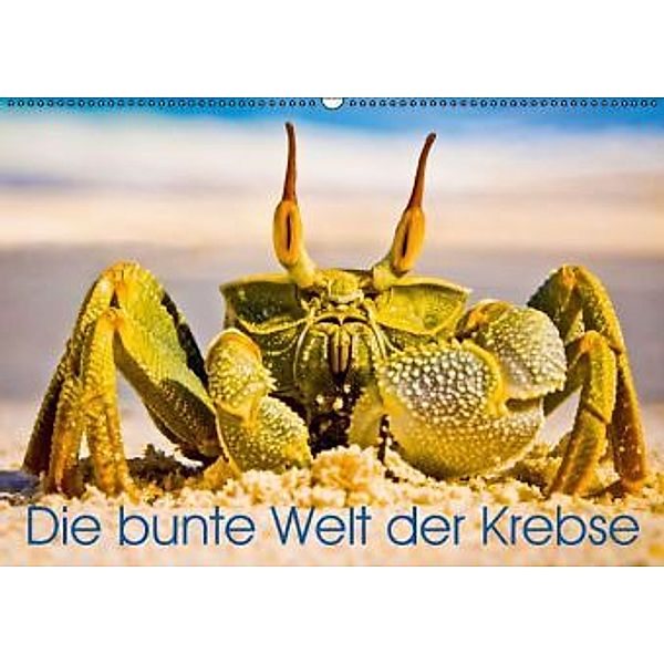 Die bunte Welt der Krebse (Wandkalender 2016 DIN A2 quer), Calvendo