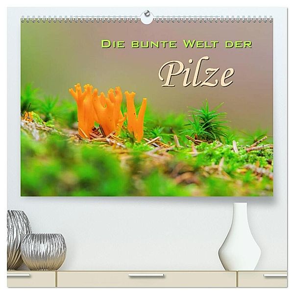 Die bunte Welt der Pilze (hochwertiger Premium Wandkalender 2024 DIN A2 quer), Kunstdruck in Hochglanz, LianeM