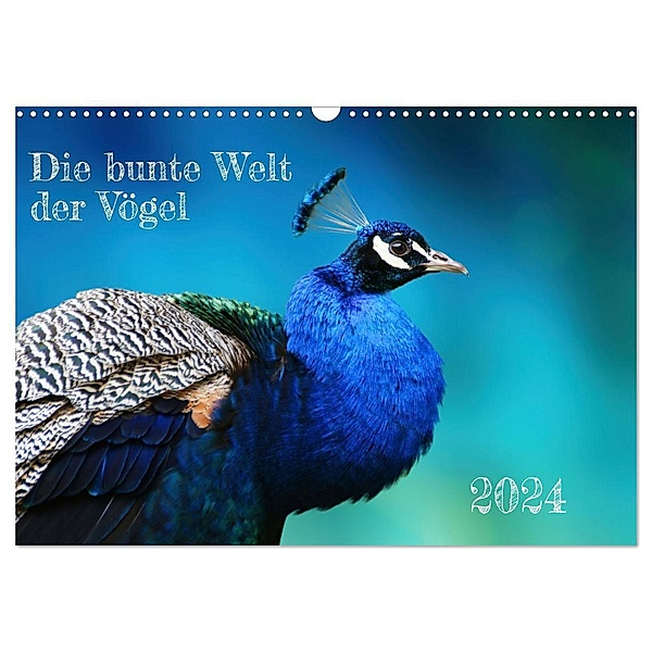 Die bunte Welt der Vögel (Wandkalender 2024 DIN A3 quer), CALVENDO Monatskalender, Martina Fornal