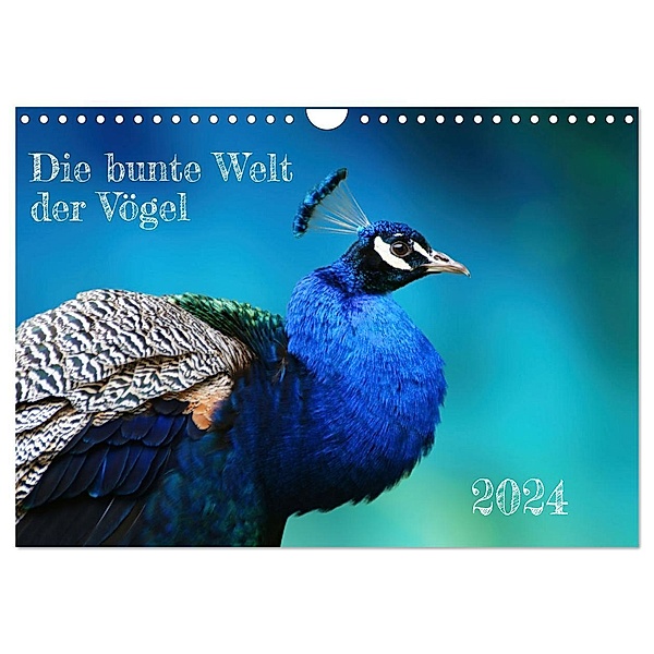 Die bunte Welt der Vögel (Wandkalender 2024 DIN A4 quer), CALVENDO Monatskalender, Martina Fornal