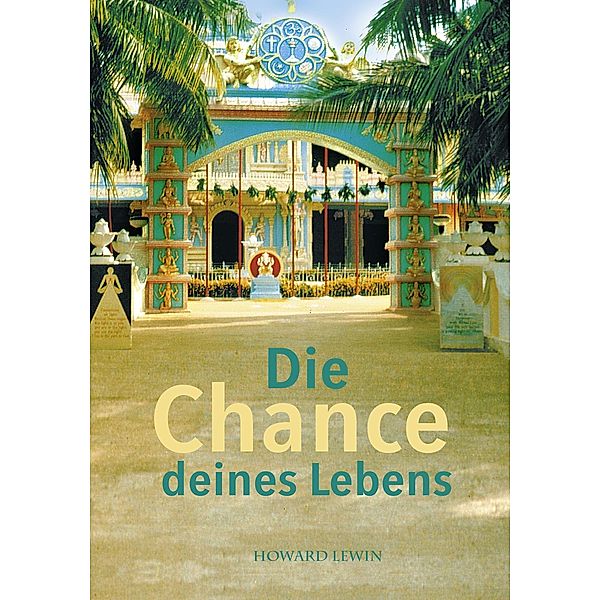 Die Chance deines Lebens, Howard Levin