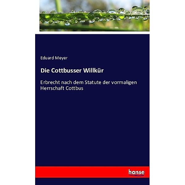 Die Cottbusser Willkür, Eduard Meyer