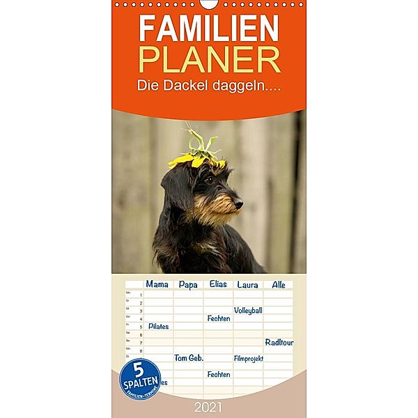 Die Dackel daggeln.... - Familienplaner hoch (Wandkalender 2021 , 21 cm x 45 cm, hoch), Kathrin Köntopp