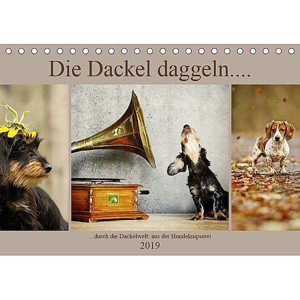 Die Dackel daggeln.... (Tischkalender 2019 DIN A5 quer), Kathrin Köntopp