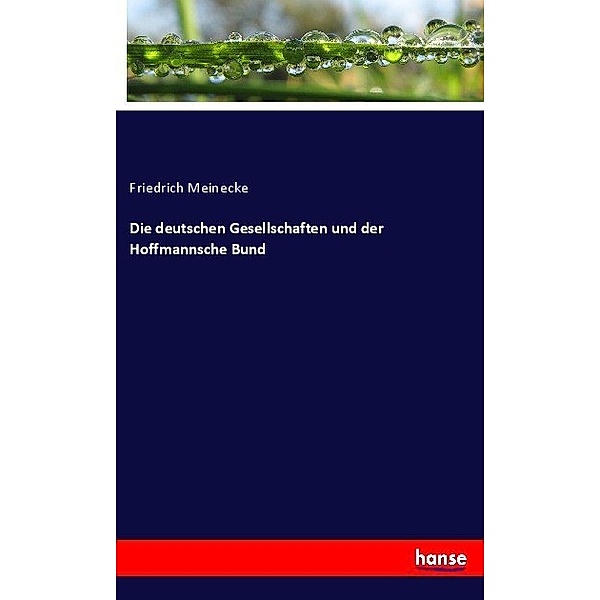 Die deutschen Gesellschaften und der Hoffmannsche Bund, Friedrich Meinecke