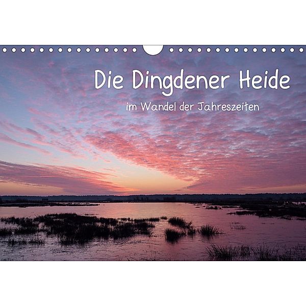 Die Dingdener Heide im Wandel der Jahreszeiten (Wandkalender 2021 DIN A4 quer), Christof Wermter