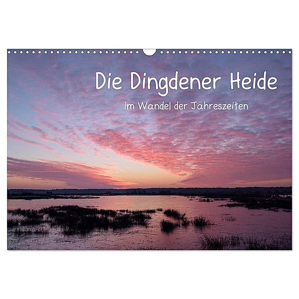 Die Dingdener Heide im Wandel der Jahreszeiten (Wandkalender 2024 DIN A3 quer), CALVENDO Monatskalender, Christof Wermter