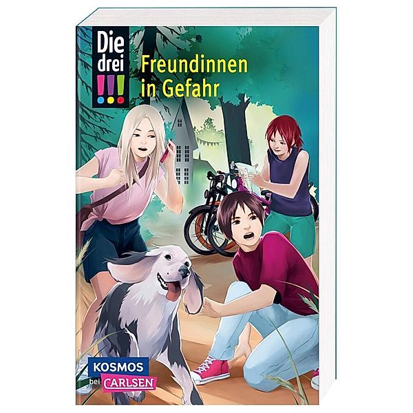 Die drei !!! 50: Freundinnen in Gefahr (Dreifachband. Enthält die Bände: Verlorenes Herz, Spuren der Vergangenheit, Falsche Freunde), Maja Von Vogel, Henriette Wich, Mira Sol