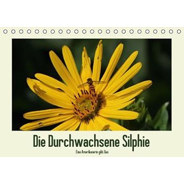 Die Durchwachsene Silphie - Eine Amerikanerin gibt Gas / CH-Version (Tischkalender 2015 DIN A5 quer), Kerstin Stolzenburg