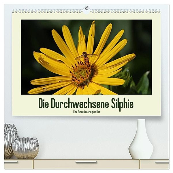 Die Durchwachsene Silphie - Eine Amerikanerin gibt Gas / CH-Version (hochwertiger Premium Wandkalender 2024 DIN A2 quer), Kunstdruck in Hochglanz, Kerstin Stolzenburg