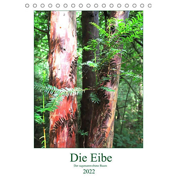 Die Eibe - Der sagenumwobene Baum (Tischkalender 2022 DIN A5 hoch), Claudia Schimmack